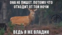 она не пишет, потому что отходит от той ночи ведь я же владик