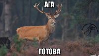 ага готова