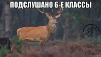 подслушано 6-е классы 