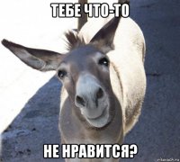 тебе что-то не нравится?