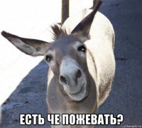  есть че пожевать?