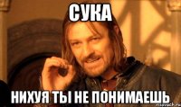 Сука Нихуя ты не понимаешь