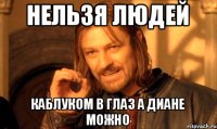 Нельзя людей Каблуком в глаз А Диане можно