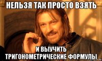 нельзя так просто взять и выучить тригонометрические формулы