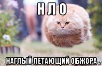 н л о наглый летающий обжора