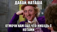 Давай, Наташа отмочи нам еще что-нибудь с котами