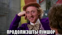  продолжэшты пуишор