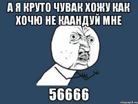 а я круто чувак хожу как хочю не каандуй мне 56666