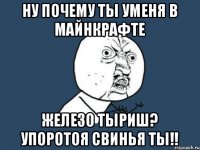 Ну почему ты уменя в майнкрафте железо тыриш? Упоротоя свинья ты!!