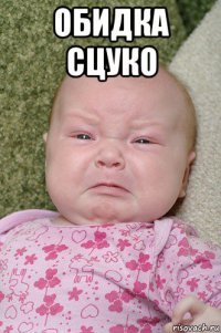 обидка сцуко 