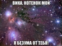 Вика, котенок мой я безума от тебя!