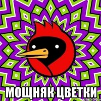  мощняк цветки