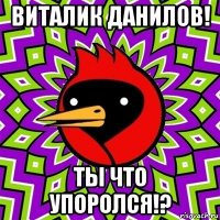 виталик данилов! ты что упоролся!?