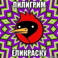 пилигрим еликраску