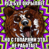 ред бул окрыляет но с гопарями это не работает
