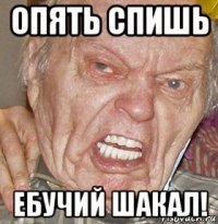 опять спишь ебучий шакал!