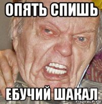 опять спишь ебучий шакал