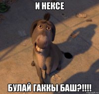 и нексе булай гаккы баш?!!!!