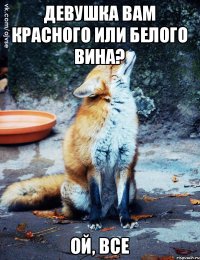 Девушка Вам красного или белого вина? Ой, Все