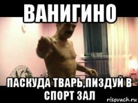 ванигино паскуда тварь,пиздуй в спорт зал