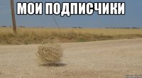 мои подписчики 