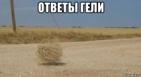 ответы гели 