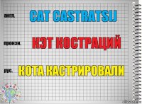 Cat castratsij кэт костраций кота кастрировали