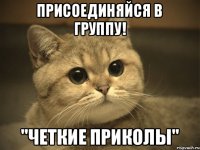 Присоединяйся в группу! "Четкие приколы"