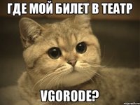 Где мой билет в театр Vgorode?