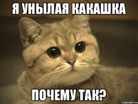 Я УНЫЛАЯ КАКАШКА ПОЧЕМУ ТАК?