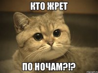 кто жрет по ночам?!?