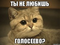 Ты не любишь Голосеево?