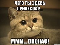 Чего ты здесь принесла?... Ммм... Вискас!