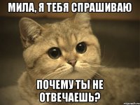 Мила, я тебя спрашиваю Почему ты не отвечаешь?