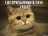 где призывник в 2014 году 