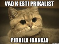 vad k esti prikalist pidrila ibanaia