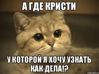 А где Кристи У которой я хочу узнать как дела!?