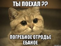 ТЫ ПОЕХАЛ ?? ПОГРЕБНОЕ ОТРОДЬЕ ЕБАНОЕ