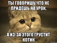 Ты говоришь,что не придёшь на урок, а из-за этого грустит котик