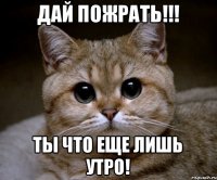 Дай пожрать!!! Ты что еще лишь утро!