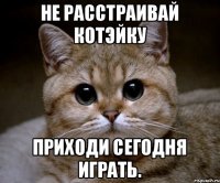 Не расстраивай котэйку приходи сегодня играть.