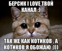 Берсик I love Твой канал :) Так же как котиков , а котиков я обожаю :)))