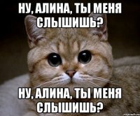 Ну, Алина, ты меня слышишь? Ну, Алина, ты меня слышишь?