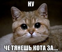 Ну че тянешь кота за....