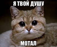 я твой душу мотал