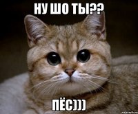 ну шо ты?? ПЁС)))