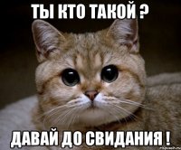 ты кто такой ? давай до свидания !