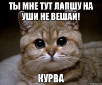 Ты мне тут лапшу на уши не вешай! Курва