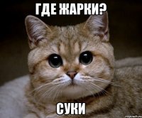 Где жарки? Суки