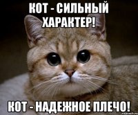 Кот - сильный характер! Кот - надежное плечо!